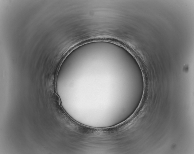 X0000091221265200708091129