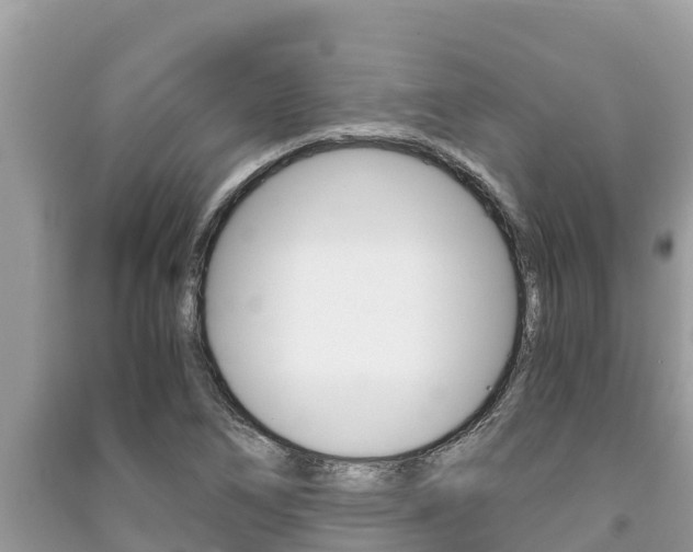 X0000091221266200708091129