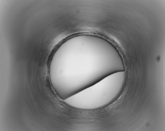 X0000091221267200708091129