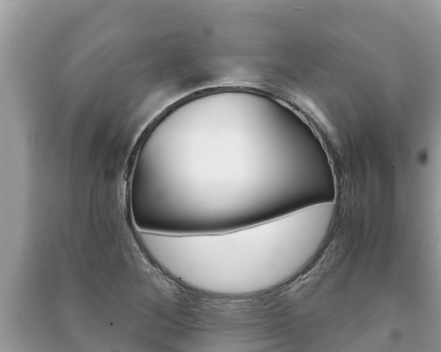 X0000091221268200708091129