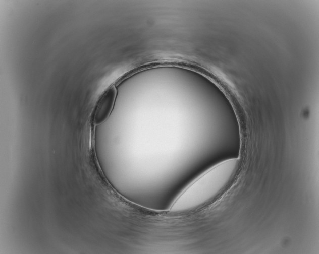 X0000091221269200708091129