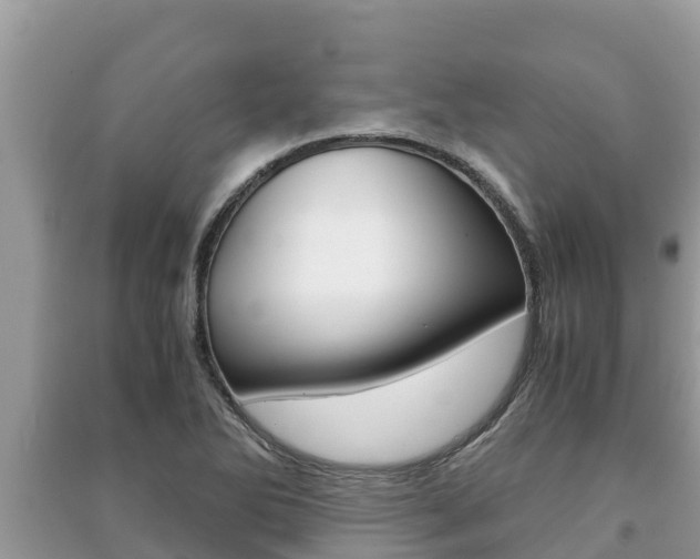 X0000091221270200708091129