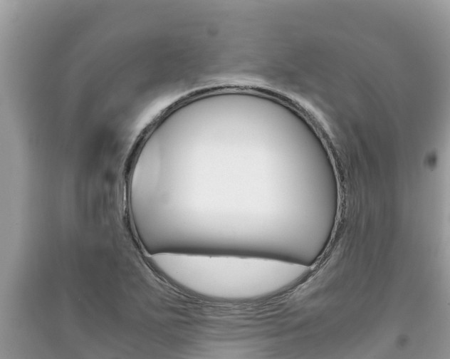 X0000091221271200708091129
