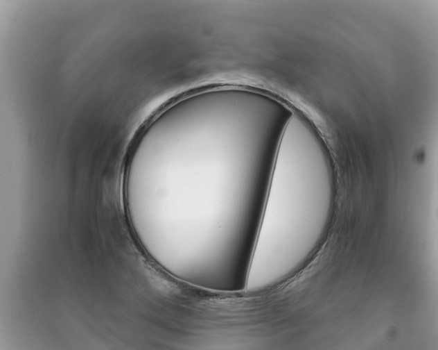 X0000091221272200708091129