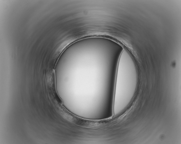 X0000091221273200708091129