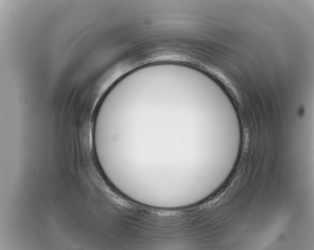 X0000091221274200708091129