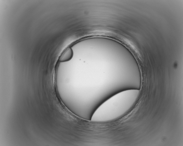X0000091221275200708091129