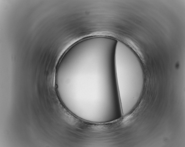 X0000091221276200708091129