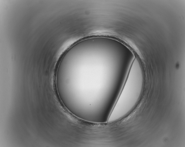 X0000091221277200708091129