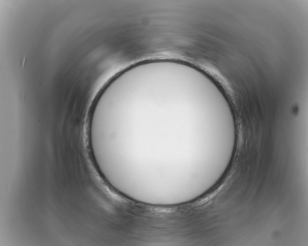 X0000091221278200708091129