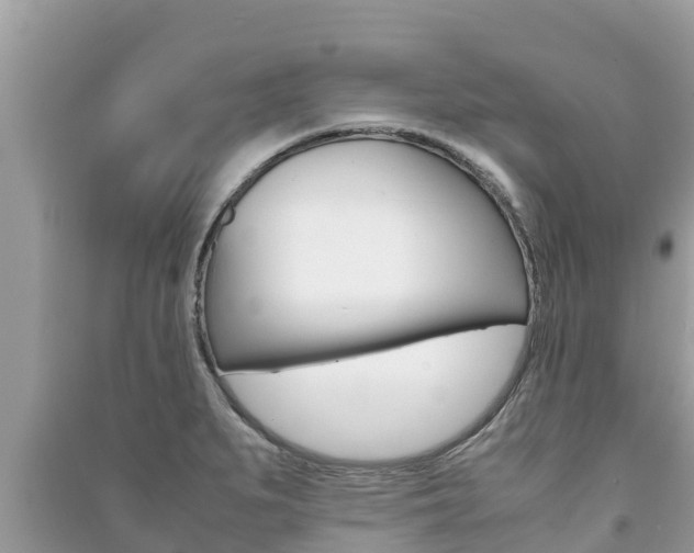 X0000091221279200708091129