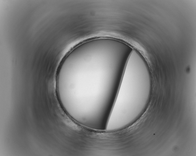 X0000091221280200708091129
