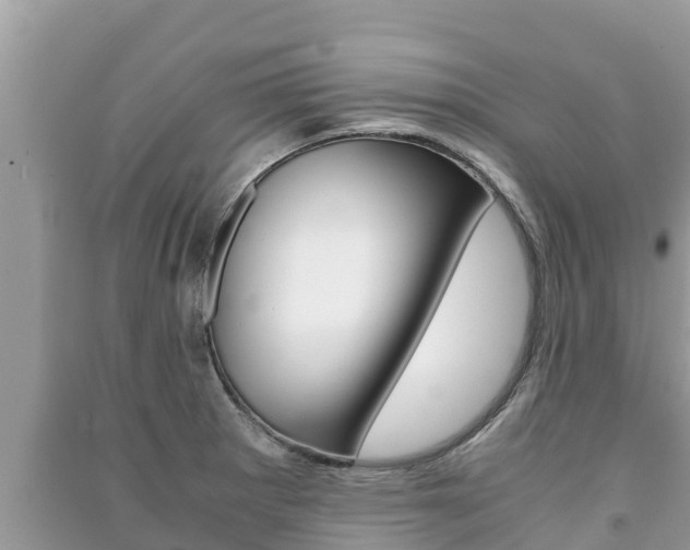 X0000091221281200708091129