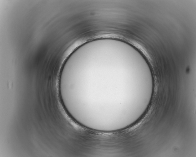 X0000091221282200708091129