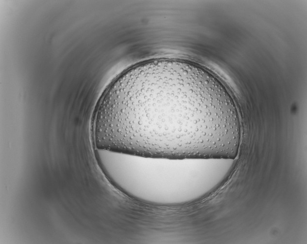 X0000091221283200708091129