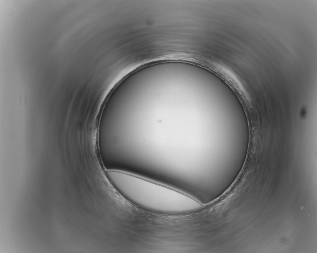 X0000091221284200708091129