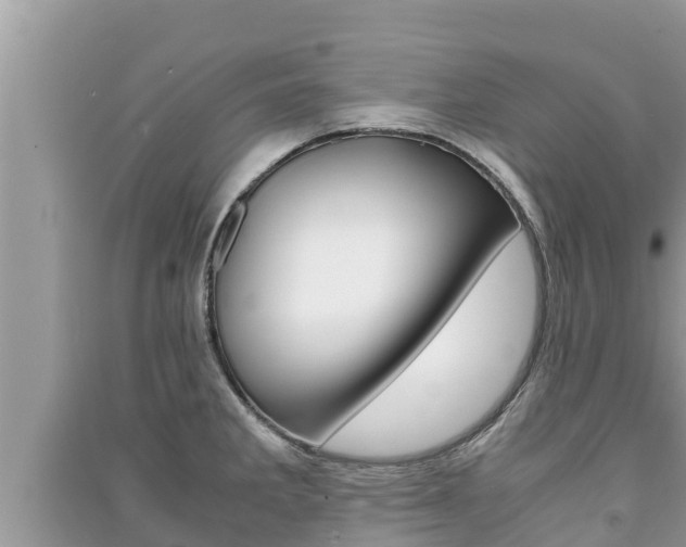 X0000091221285200708091129