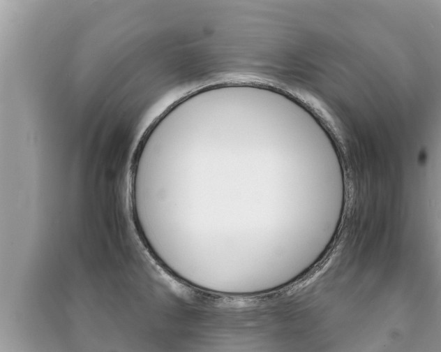 X0000091221286200708091129