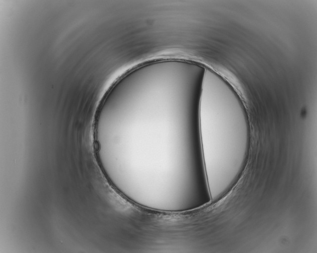 X0000091221288200708091129