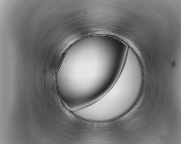 X0000091221289200708091129