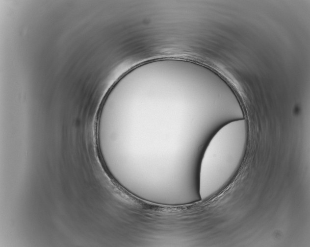 X0000091221291200708091129