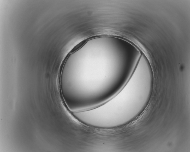 X0000091221293200708091129