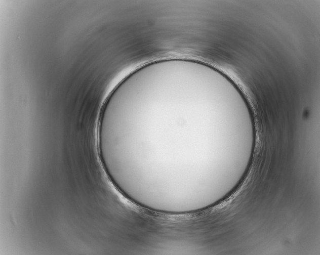 X0000091221294200708091129