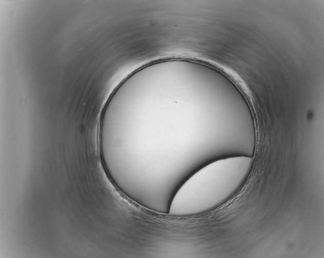 X0000091221295200708091129