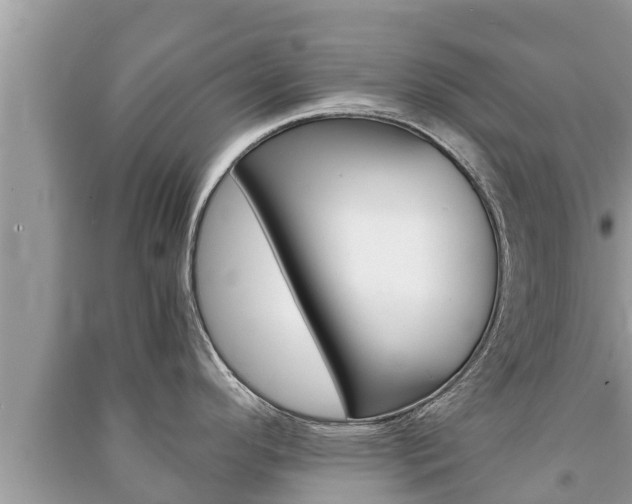 X0000091221296200708091129