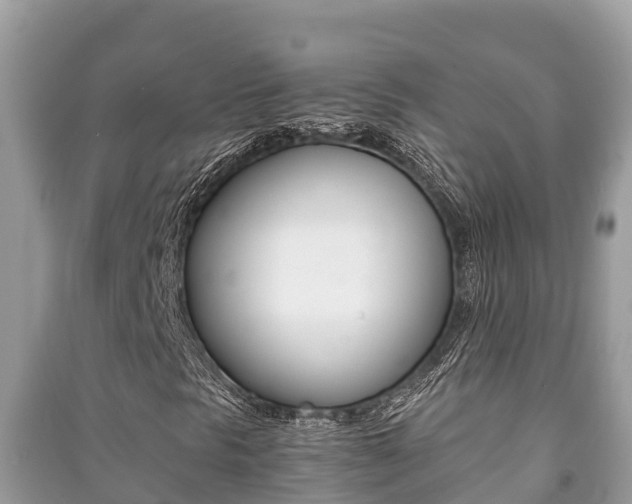X0000091221297200708091128