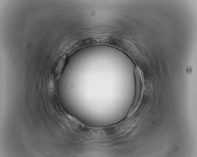 X0000091221298200708091128