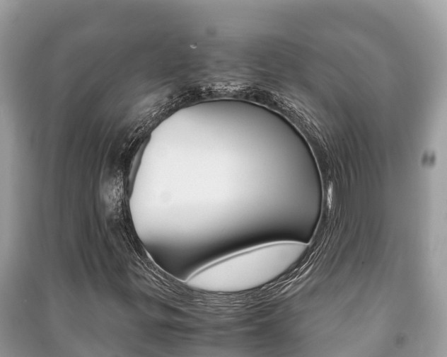 X0000091221299200708091128