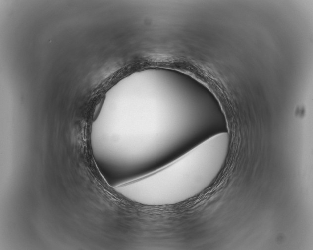 X0000091221301200708091128