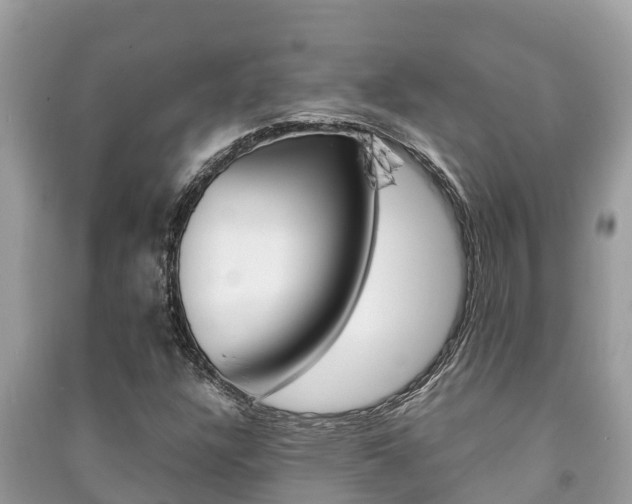 X0000091221304200708091128