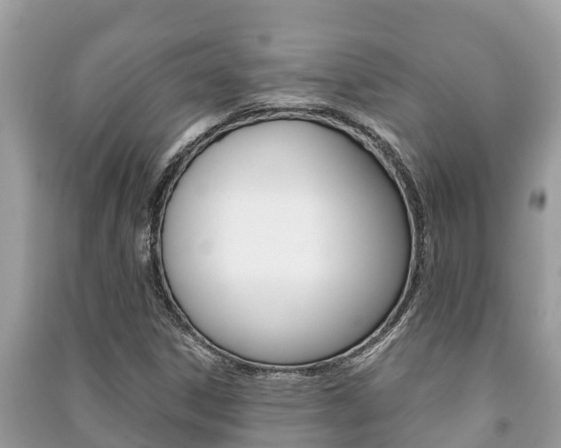 X0000091221306200708091128
