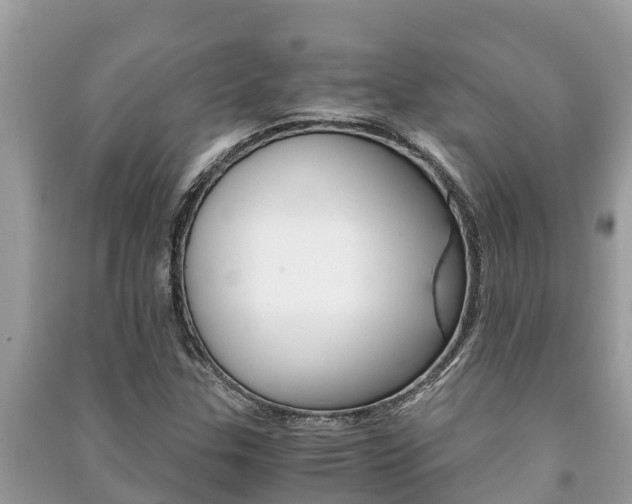 X0000091221307200708091128