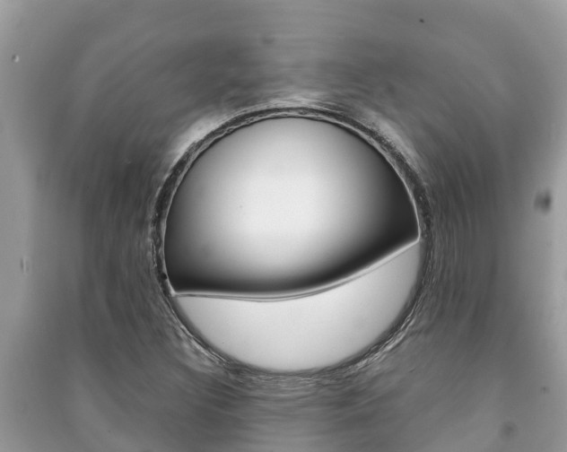 X0000091221308200708091128