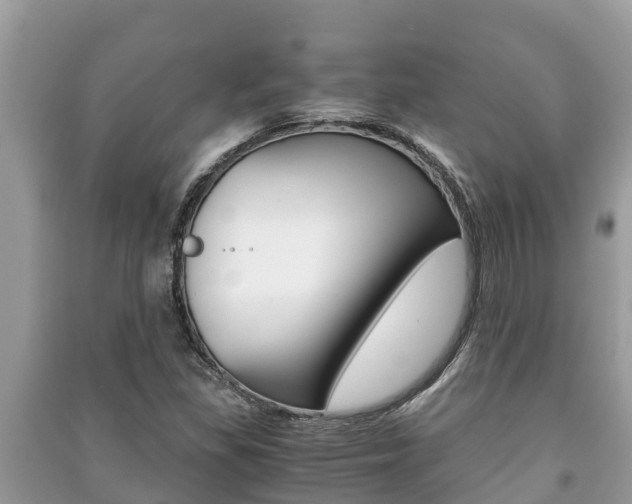 X0000091221309200708091128