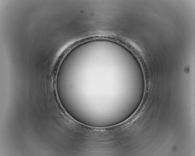 X0000091221310200708091128
