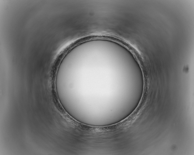 X0000091221311200708091128