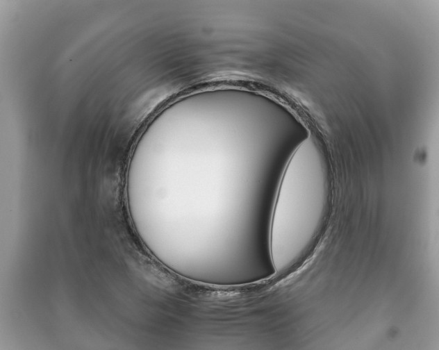 X0000091221313200708091128