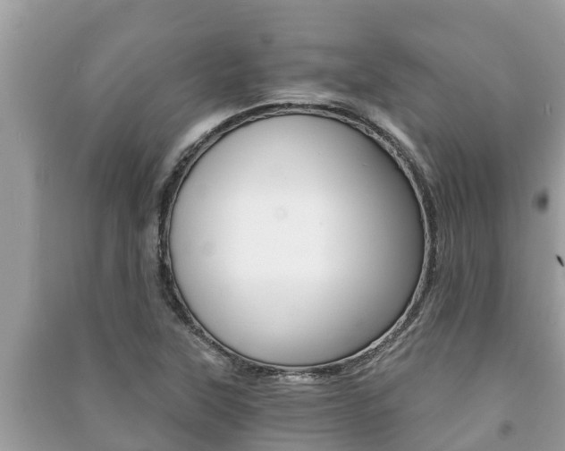 X0000091221315200708091129