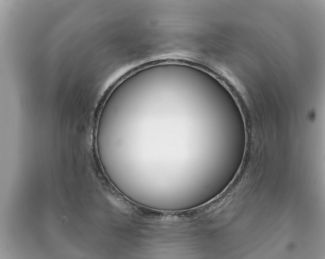 X0000091221316200708091129