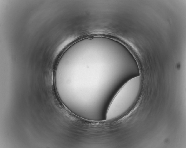 X0000091221317200708091129
