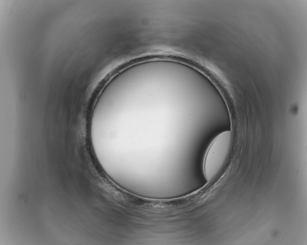 X0000091221318200708091129