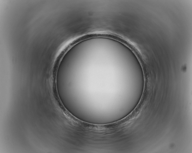 X0000091221319200708091129