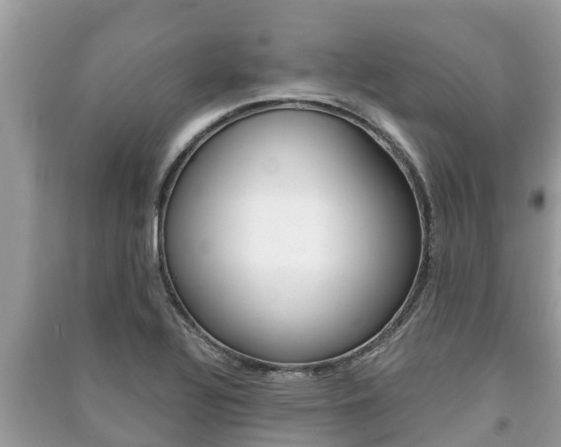 X0000091221320200708091129