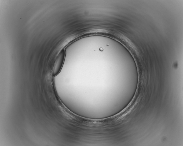 X0000091221321200708091129