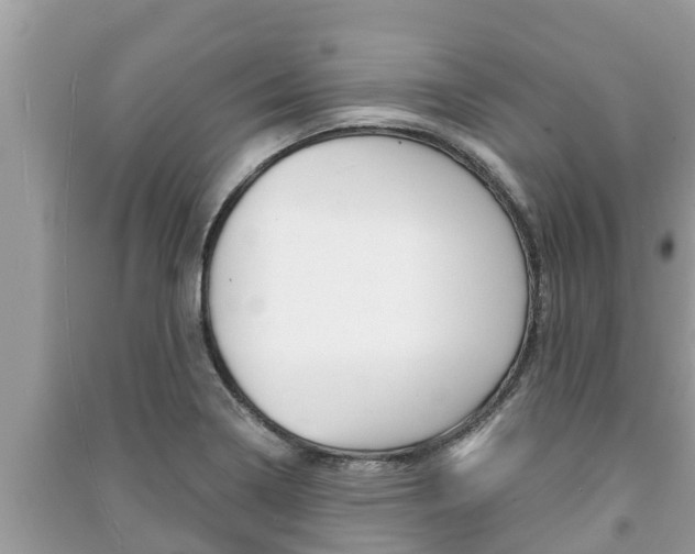 X0000091221322200708091129