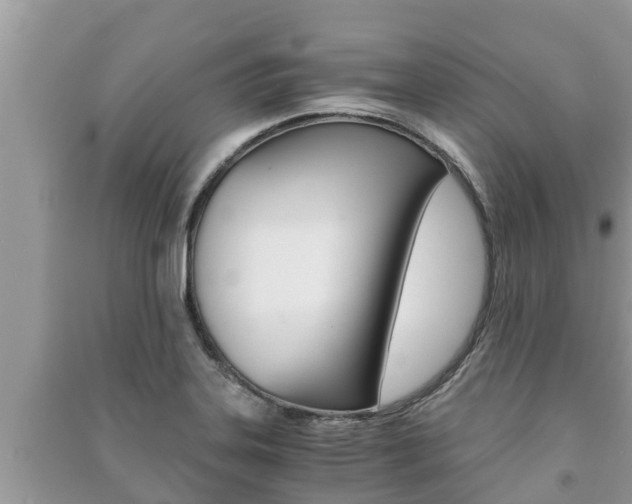 X0000091221323200708091129